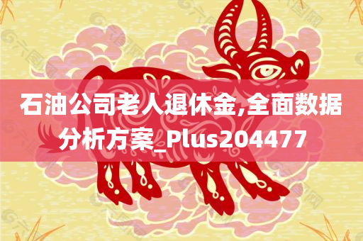 石油公司老人退休金,全面数据分析方案_Plus204477