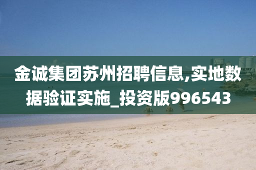 金诚集团苏州招聘信息,实地数据验证实施_投资版996543