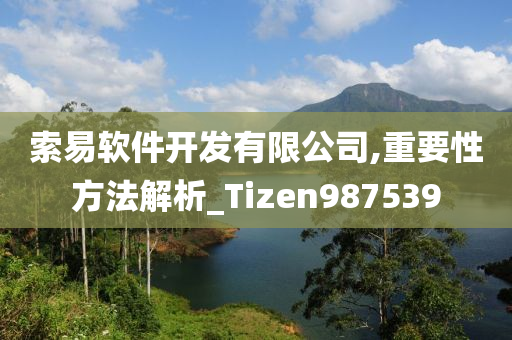 索易软件开发有限公司,重要性方法解析_Tizen987539