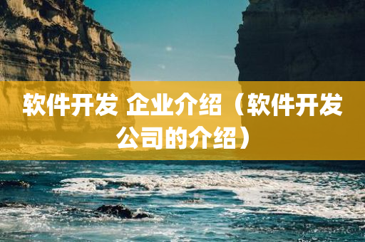 软件开发 企业介绍（软件开发公司的介绍）