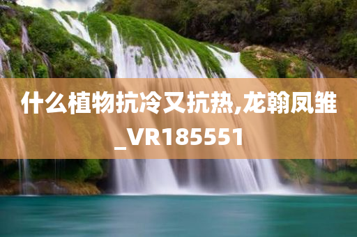 什么植物抗冷又抗热,龙翰凤雏_VR185551