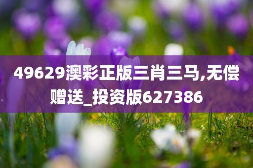 49629澳彩正版三肖三马,无偿赠送_投资版627386