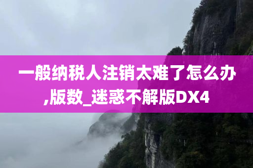 一般纳税人注销太难了怎么办,版数_迷惑不解版DX4