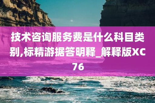 技术咨询服务费是什么科目类别,标精游据答明释_解释版XC76