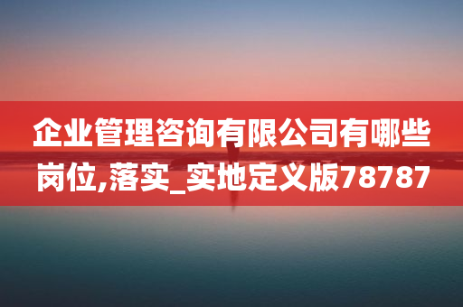 企业管理咨询有限公司有哪些岗位,落实_实地定义版78787