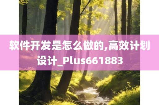 软件开发是怎么做的,高效计划设计_Plus661883