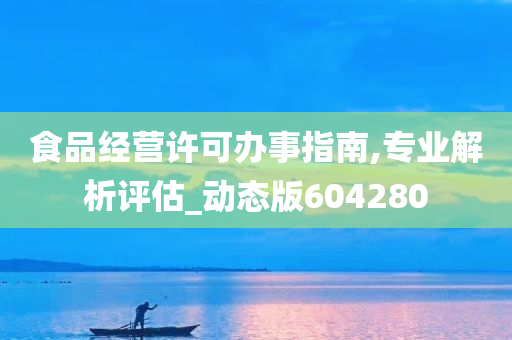 食品经营许可办事指南,专业解析评估_动态版604280