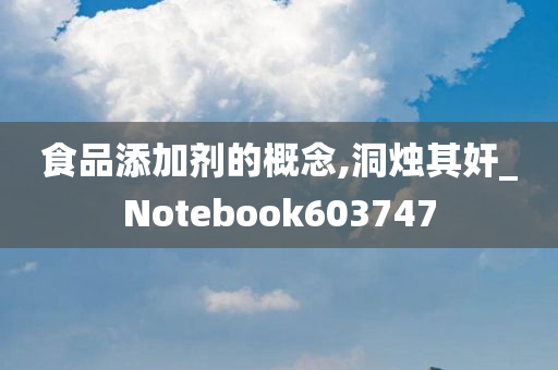 食品添加剂的概念,洞烛其奸_Notebook603747