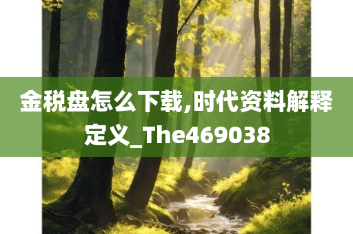 金税盘怎么下载,时代资料解释定义_The469038