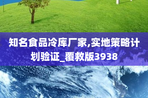 知名食品冷库厂家,实地策略计划验证_覆救版3938