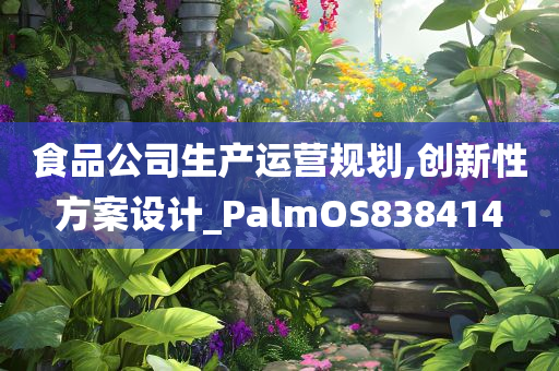 食品公司生产运营规划,创新性方案设计_PalmOS838414