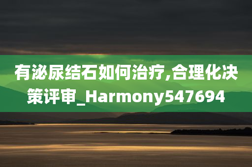 有泌尿结石如何治疗,合理化决策评审_Harmony547694