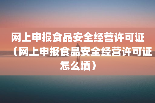 网上申报食品安全经营许可证（网上申报食品安全经营许可证怎么填）