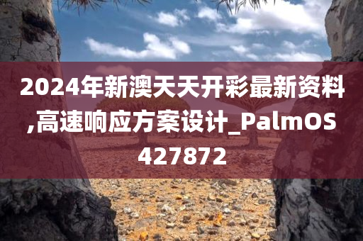 2024年新澳天天开彩最新资料,高速响应方案设计_PalmOS427872