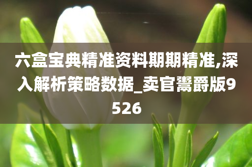 六盒宝典精准资料期期精准,深入解析策略数据_卖官鬻爵版9526