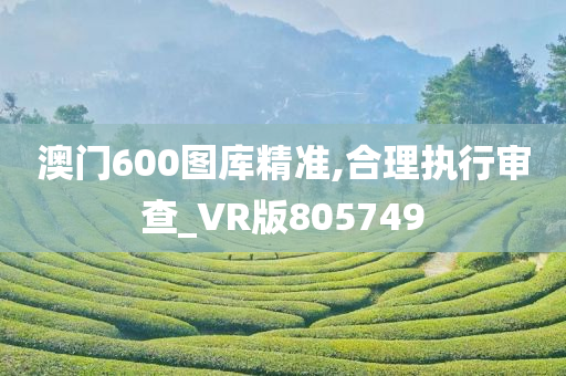 澳门600图库精准,合理执行审查_VR版805749