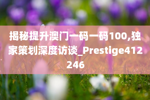 揭秘提升澳门一码一码100,独家策划深度访谈_Prestige412246