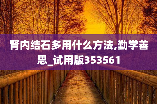 肾内结石多用什么方法,勤学善思_试用版353561