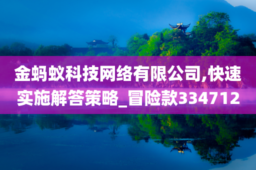 金蚂蚁科技网络有限公司,快速实施解答策略_冒险款334712