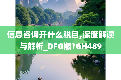 信息咨询开什么税目,深度解读与解析_DFG版?GH489