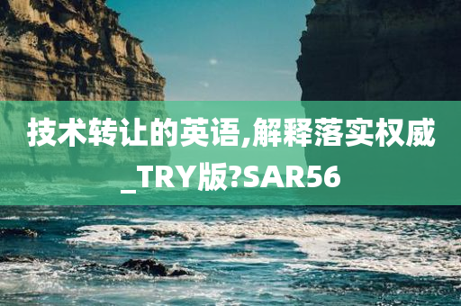 技术转让的英语,解释落实权威_TRY版?SAR56