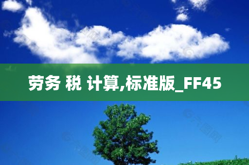 劳务 税 计算,标准版_FF45