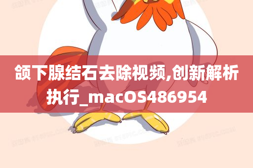 颌下腺结石去除视频,创新解析执行_macOS486954