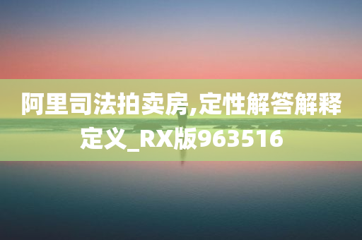 阿里司法拍卖房,定性解答解释定义_RX版963516