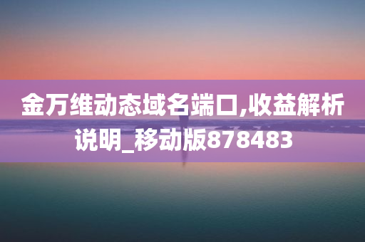 金万维动态域名端口,收益解析说明_移动版878483