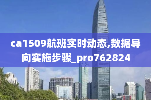 ca1509航班实时动态,数据导向实施步骤_pro762824