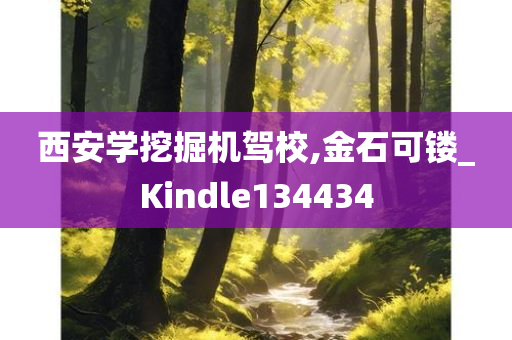 西安学挖掘机驾校,金石可镂_Kindle134434