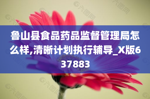 鲁山县食品药品监督管理局怎么样,清晰计划执行辅导_X版637883