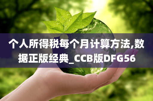 个人所得税每个月计算方法,数据正版经典_CCB版DFG56