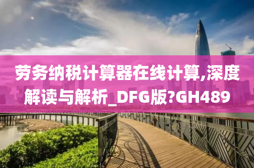 劳务纳税计算器在线计算,深度解读与解析_DFG版?GH489