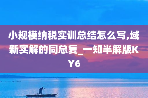 小规模纳税实训总结怎么写,域新实解的同总复_一知半解版KY6