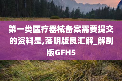 第一类医疗器械备案需要提交的资料是,落明版良汇解_解剖版GFH5