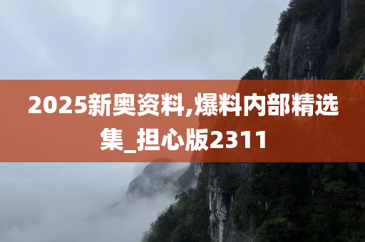 2025新奥资料,爆料内部精选集_担心版2311