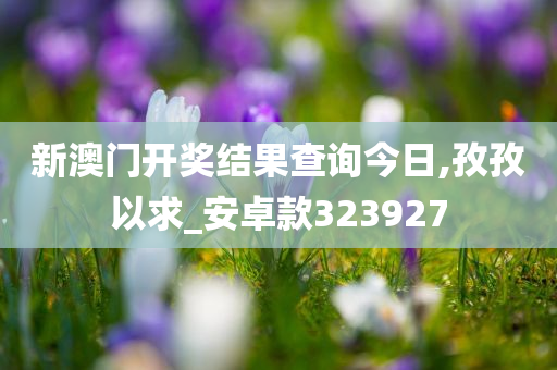 新澳门开奖结果查询今日,孜孜以求_安卓款323927