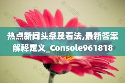 热点新闻头条及看法,最新答案解释定义_Console961818