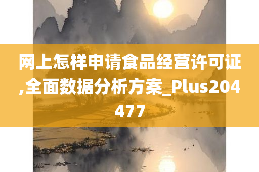 网上怎样申请食品经营许可证,全面数据分析方案_Plus204477