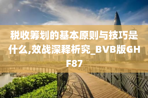 税收筹划的基本原则与技巧是什么,效战深释析究_BVB版GHF87