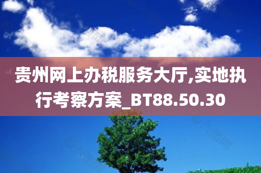 贵州网上办税服务大厅,实地执行考察方案_BT88.50.30