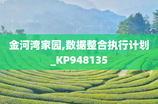 金河湾家园,数据整合执行计划_KP948135