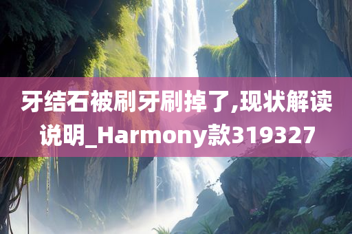 牙结石被刷牙刷掉了,现状解读说明_Harmony款319327