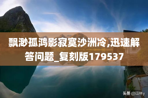 飘渺孤鸿影寂寞沙洲冷,迅速解答问题_复刻版179537