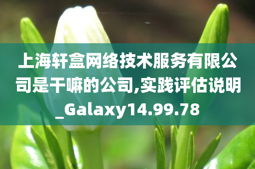 上海轩盒网络技术服务有限公司是干嘛的公司,实践评估说明_Galaxy14.99.78