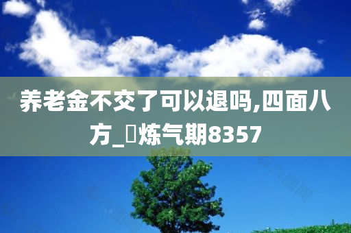 养老金不交了可以退吗,四面八方_‌炼气期8357