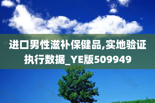 进口男性滋补保健品,实地验证执行数据_YE版509949