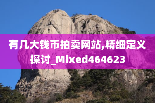 有几大钱币拍卖网站,精细定义探讨_Mixed464623