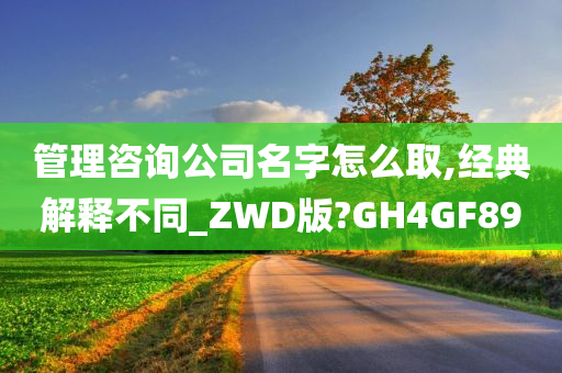 管理咨询公司名字怎么取,经典解释不同_ZWD版?GH4GF89